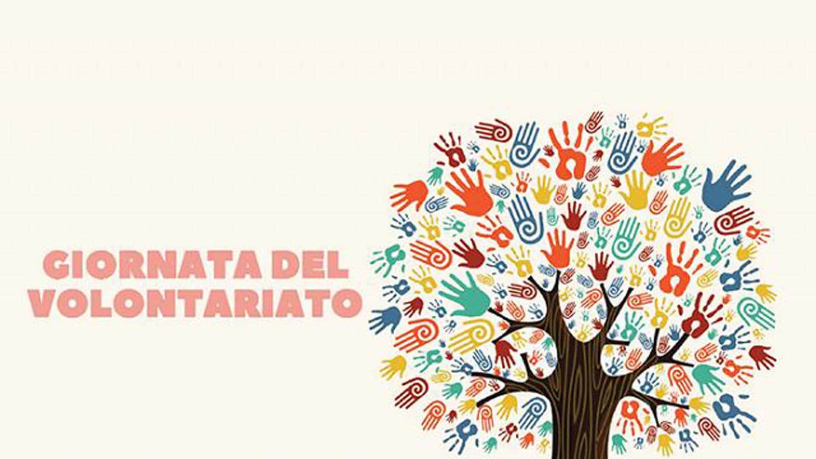 Giornata del volontariato: 5 motivi per vivere esperienze di questo genere