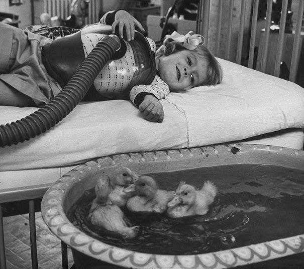 Giornata internazionale dei diritti degli animali