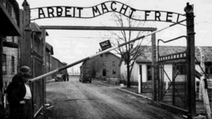 giornata-della-memoria-scuola