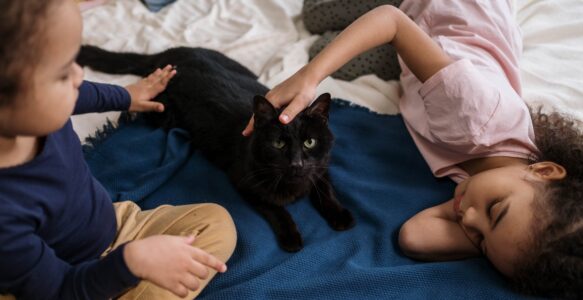 Gatto e salute: la pet-therapy