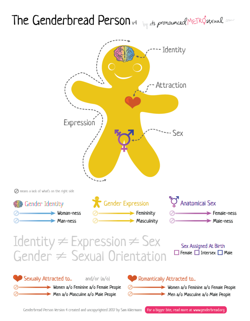 Identità di genere, orientamento sessuale, espressione di genere, sesso biologico: tutti questi concetti raffigurati in un omino di marzapane.