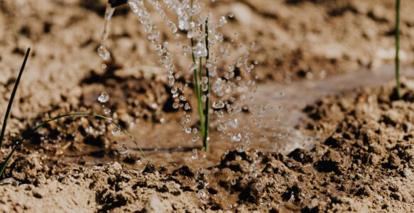 L’importanza della cura…verso l’ambiente circostante